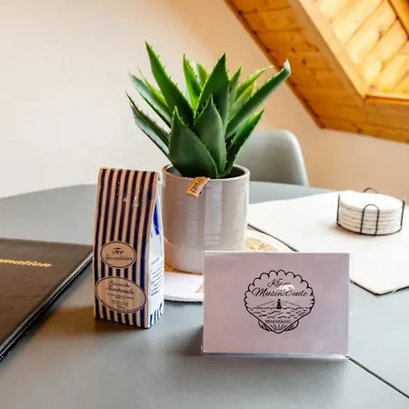 Kleinemuschelbude Apartament Dornum